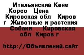 Итальянский Кане Корсо › Цена ­ 25 000 - Кировская обл., Киров г. Животные и растения » Собаки   . Кировская обл.,Киров г.